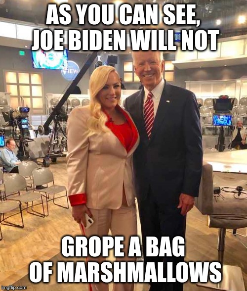 Meghan McCain Joe Biden | AS YOU CAN SEE, JOE BIDEN WILL NOT GROPE A BAG OF MARSHMALLOWS | image tagged in meghan mccain joe biden | made w/ Imgflip meme maker