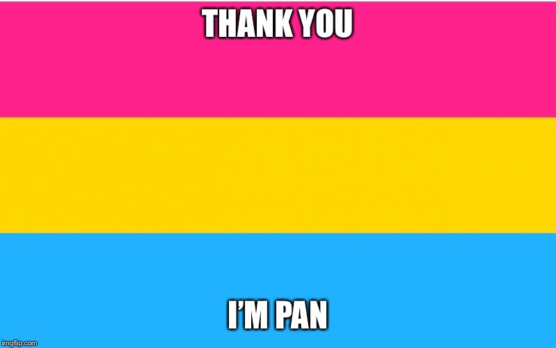 THANK YOU I’M PAN | made w/ Imgflip meme maker
