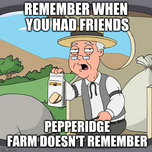 Pepperidge Farm Remembers Meme | REMEMBER WHEN YOU HAD FRIENDS; PEPPERIDGE FARM DOESN'T REMEMBER | image tagged in memes,pepperidge farm remembers | made w/ Imgflip meme maker