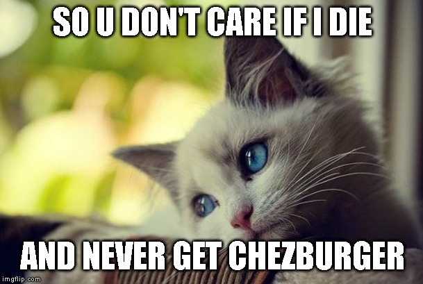 First World Problems Cat Meme | SO U DON'T CARE IF I DIE AND NEVER GET CHEZBURGER | image tagged in memes,first world problems cat | made w/ Imgflip meme maker