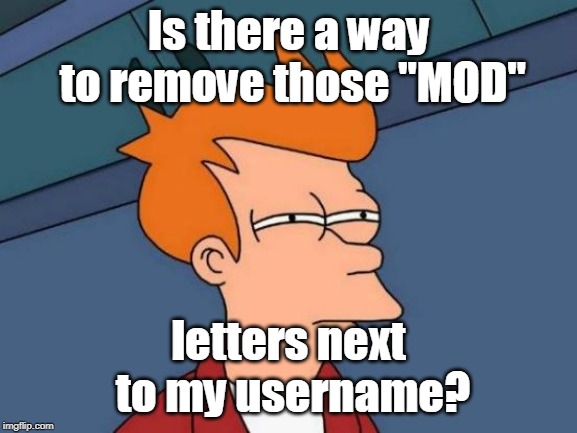 Futurama Fry Meme | Is there a way to remove those "MOD" letters next to my username? | image tagged in memes,futurama fry | made w/ Imgflip meme maker