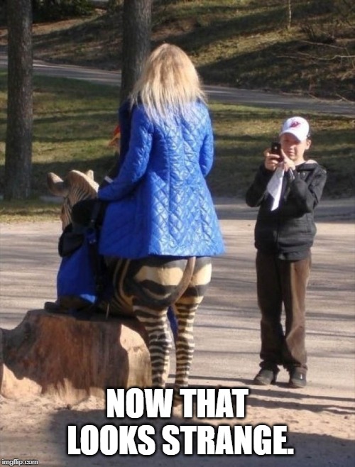 Weird | NOW THAT LOOKS STRANGE. | image tagged in weird | made w/ Imgflip meme maker