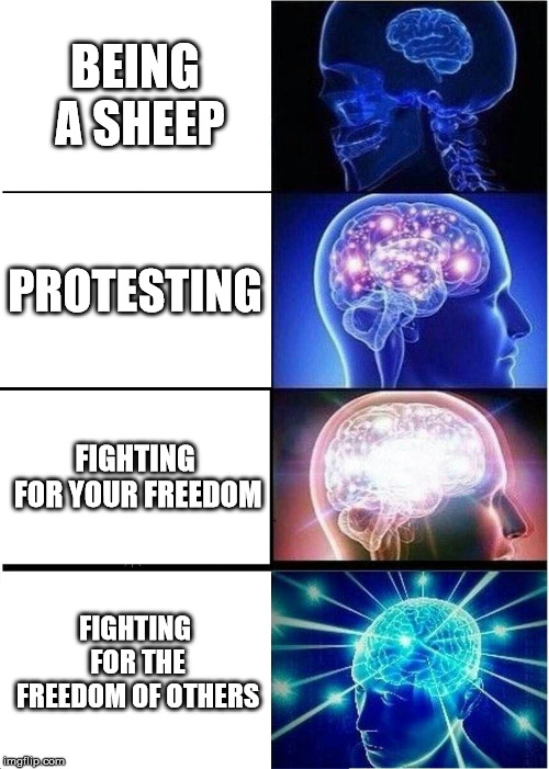 Expanding Brain Meme | BEING A SHEEP; PROTESTING; FIGHTING FOR YOUR FREEDOM; FIGHTING FOR THE FREEDOM OF OTHERS | image tagged in memes,expanding brain | made w/ Imgflip meme maker