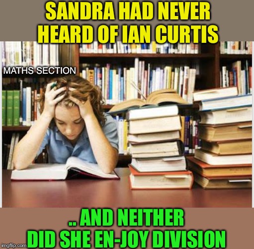 SANDRA HAD NEVER HEARD OF IAN CURTIS .. AND NEITHER DID SHE EN-JOY DIVISION MATHS SECTION | made w/ Imgflip meme maker