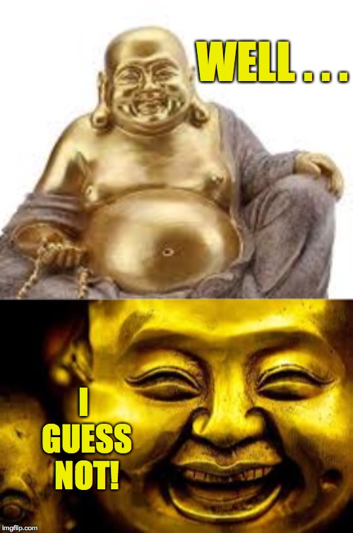 WELL . . . I GUESS NOT! | made w/ Imgflip meme maker