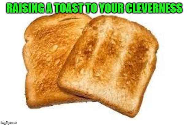 Toast | RAISING A TOAST TO YOUR CLEVERNESS | image tagged in toast | made w/ Imgflip meme maker