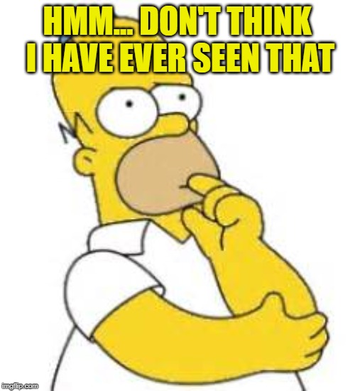 Homer Simpson Hmmmm | HMM... DON'T THINK I HAVE EVER SEEN THAT | image tagged in homer simpson hmmmm | made w/ Imgflip meme maker