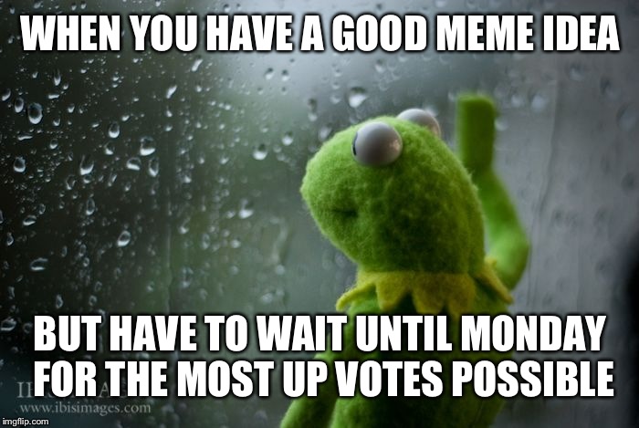 kermit window | WHEN YOU HAVE A GOOD MEME IDEA; BUT HAVE TO WAIT UNTIL MONDAY FOR THE MOST UP VOTES POSSIBLE | image tagged in kermit window | made w/ Imgflip meme maker