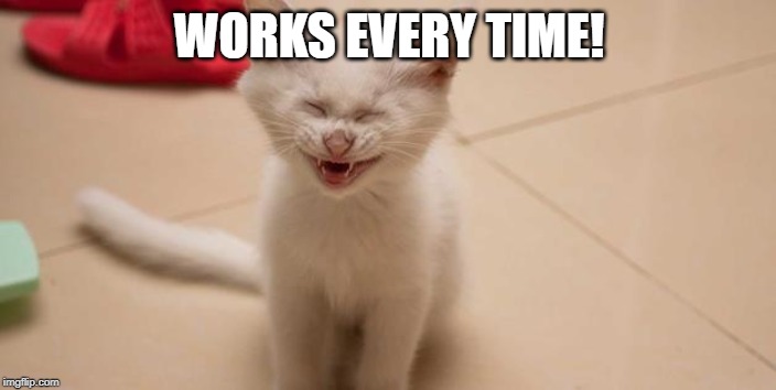 Cat Laughing | WORKS EVERY TIME! | image tagged in cat laughing | made w/ Imgflip meme maker