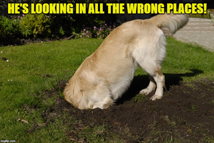 Dog digging the past | HE'S LOOKING IN ALL THE WRONG PLACES! | image tagged in dog digging the past | made w/ Imgflip meme maker