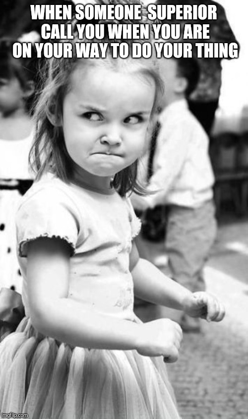 Angry Toddler Meme | WHEN SOMEONE  SUPERIOR CALL YOU WHEN YOU ARE ON YOUR WAY TO DO YOUR THING | image tagged in memes,angry toddler | made w/ Imgflip meme maker