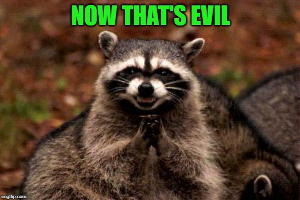 Evil Plotting Raccoon Meme | NOW THAT'S EVIL | image tagged in memes,evil plotting raccoon | made w/ Imgflip meme maker