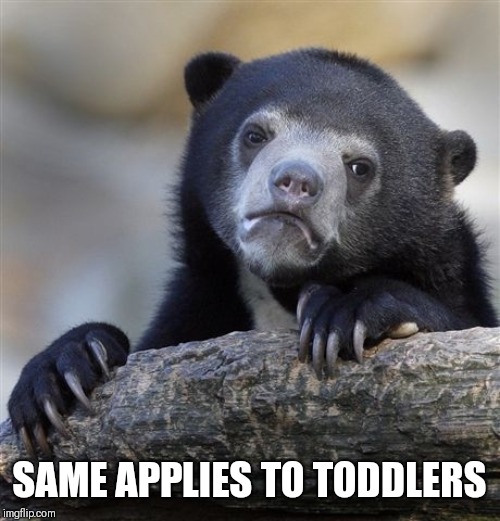 Confession Bear Meme | SAME APPLIES TO TODDLERS | image tagged in memes,confession bear | made w/ Imgflip meme maker