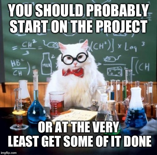 Chemistry Cat Meme | YOU SHOULD PROBABLY START ON THE PROJECT OR AT THE VERY LEAST GET SOME OF IT DONE | image tagged in memes,chemistry cat | made w/ Imgflip meme maker