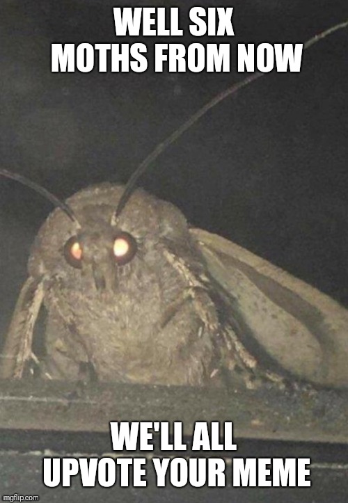 Moth | WELL SIX MOTHS FROM NOW WE'LL ALL UPVOTE YOUR MEME | image tagged in moth | made w/ Imgflip meme maker