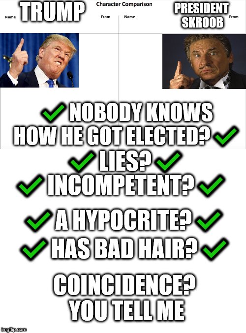 TRUMP; PRESIDENT SKROOB; ✔NOBODY KNOWS HOW HE GOT ELECTED?✔; ✔LIES?✔; ✔INCOMPETENT?✔; ✔A HYPOCRITE?✔; ✔HAS BAD HAIR?✔; COINCIDENCE? YOU TELL ME | image tagged in blank white template | made w/ Imgflip meme maker