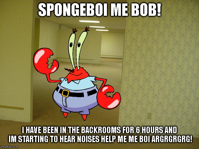 The Backrooms | SPONGEBOI ME BOB! I HAVE BEEN IN THE BACKROOMS FOR 6 HOURS AND IM STARTING TO HEAR NOISES HELP ME ME BOI ARGRGRGRG! | image tagged in the backrooms,mr krabs | made w/ Imgflip meme maker