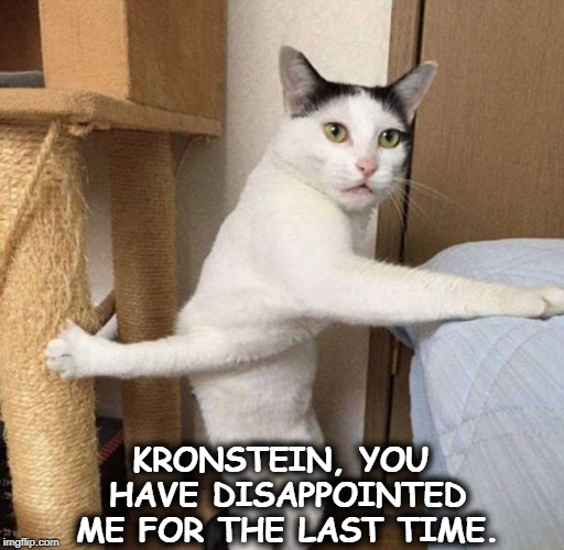 KRONSTEIN, YOU HAVE DISAPPOINTED ME FOR THE LAST TIME. | image tagged in cat,from russia with love,james bond,ernst stavro blofeld | made w/ Imgflip meme maker