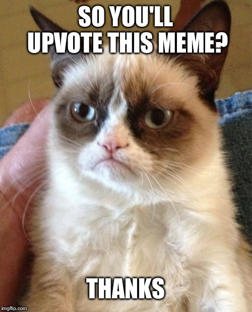 Grumpy Cat Meme | SO YOU'LL UPVOTE THIS MEME? THANKS | image tagged in memes,grumpy cat | made w/ Imgflip meme maker