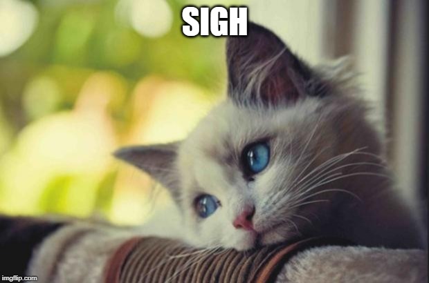 Sad cat | SIGH | image tagged in sad cat | made w/ Imgflip meme maker