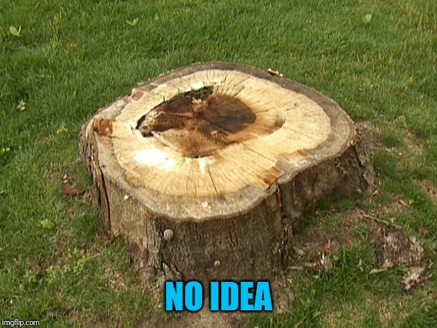 stump | NO IDEA | image tagged in stump | made w/ Imgflip meme maker