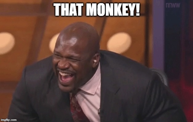 shaq laugh | THAT MONKEY! | image tagged in shaq laugh | made w/ Imgflip meme maker