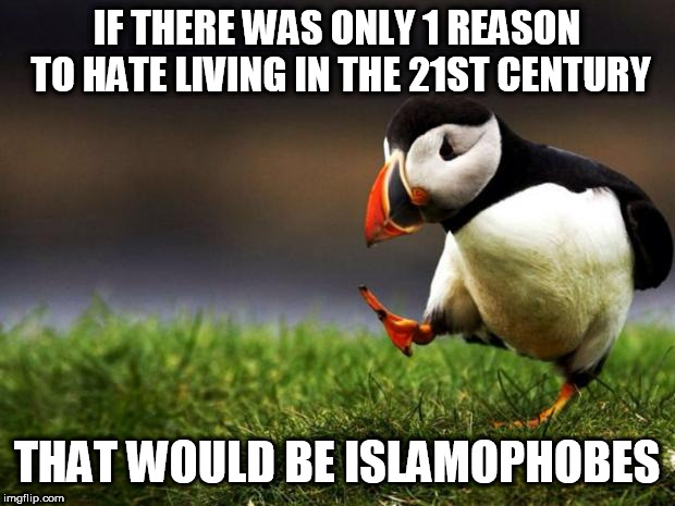 Unpopular Opinion Puffin | IF THERE WAS ONLY 1 REASON TO HATE LIVING IN THE 21ST CENTURY; THAT WOULD BE ISLAMOPHOBES | image tagged in memes,unpopular opinion puffin,islamophobe,islamophobes,islamophobia,21st century | made w/ Imgflip meme maker