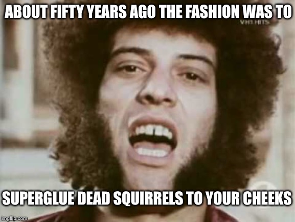 In the summertime | ABOUT FIFTY YEARS AGO THE FASHION WAS TO; SUPERGLUE DEAD SQUIRRELS TO YOUR CHEEKS | image tagged in beard | made w/ Imgflip meme maker