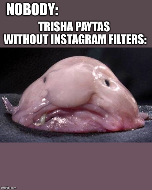 Blobfish | NOBODY:; TRISHA PAYTAS WITHOUT INSTAGRAM FILTERS: | image tagged in blobfish | made w/ Imgflip meme maker