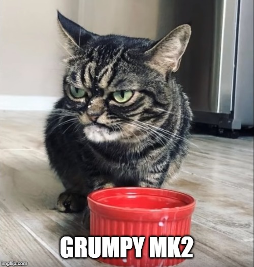 GRUMPY MK2 | image tagged in grumpy cat | made w/ Imgflip meme maker