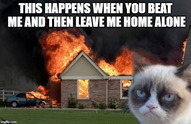 Burn Kitty | THIS HAPPENS WHEN YOU BEAT ME AND THEN LEAVE ME HOME ALONE | image tagged in memes,burn kitty,grumpy cat | made w/ Imgflip meme maker