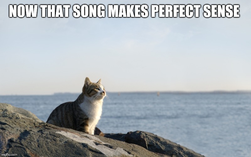 Deep Thinking Cat | NOW THAT SONG MAKES PERFECT SENSE | image tagged in deep thinking cat | made w/ Imgflip meme maker