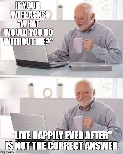 Hide the Pain Harold Meme | IF YOUR WIFE ASKS "WHAT WOULD YOU DO WITHOUT ME?"; "LIVE HAPPILY EVER AFTER" IS NOT THE CORRECT ANSWER. | image tagged in memes,hide the pain harold,random,wife | made w/ Imgflip meme maker