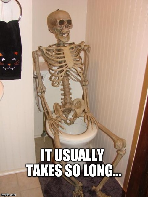 Skeleton on toilet | IT USUALLY TAKES SO LONG... | image tagged in skeleton on toilet | made w/ Imgflip meme maker