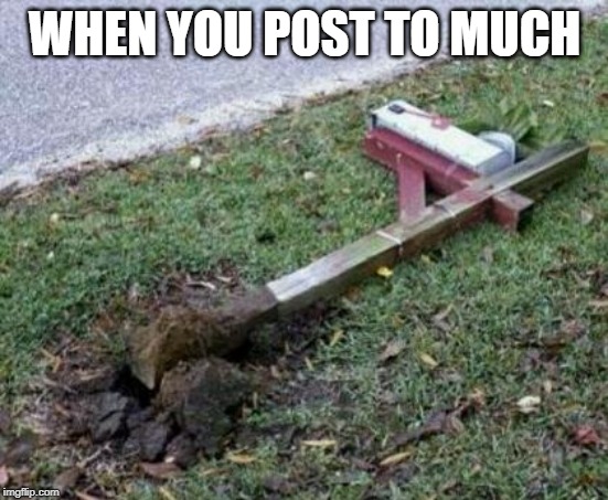 please repost | WHEN YOU POST TO MUCH | image tagged in please repost | made w/ Imgflip meme maker