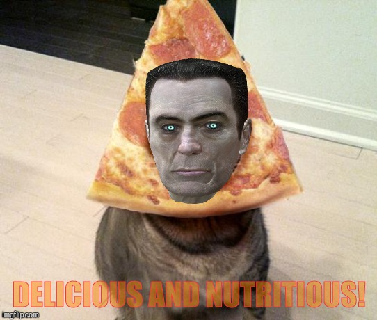 pizza cat | DELICIOUS AND NUTRITIOUS! | image tagged in pizza cat | made w/ Imgflip meme maker