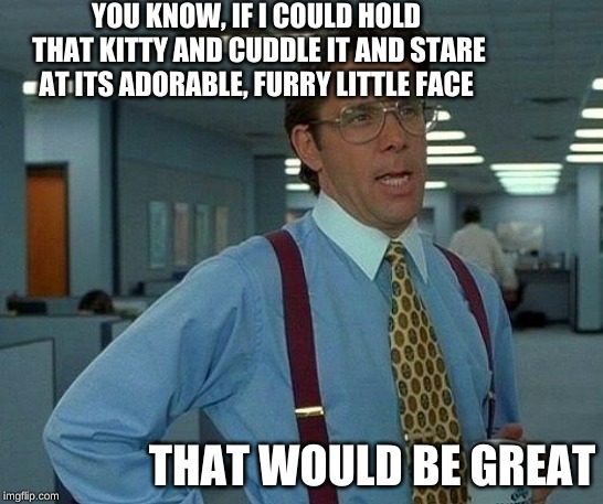 That Would Be Great Meme | YOU KNOW, IF I COULD HOLD THAT KITTY AND CUDDLE IT AND STARE AT ITS ADORABLE, FURRY LITTLE FACE THAT WOULD BE GREAT | image tagged in memes,that would be great | made w/ Imgflip meme maker