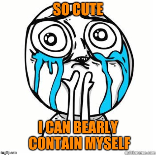 Crying Face | SO CUTE I CAN BEARLY CONTAIN MYSELF | image tagged in crying face | made w/ Imgflip meme maker