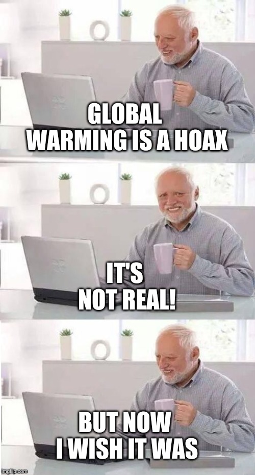 On second thought Harold | GLOBAL WARMING IS A HOAX IT'S NOT REAL! BUT NOW I WISH IT WAS | image tagged in on second thought harold | made w/ Imgflip meme maker