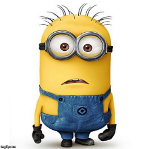 Minions | image tagged in minions | made w/ Imgflip meme maker