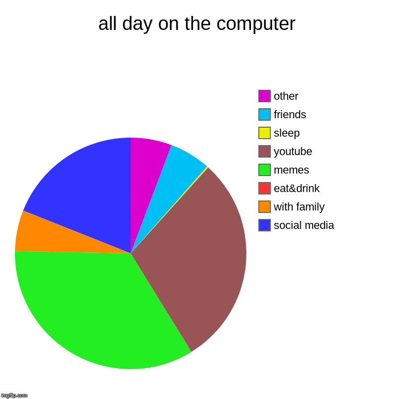 all day on the computer | social media, with family, eat&drink, memes, youtube, sleep, friends, other | image tagged in charts,pie charts | made w/ Imgflip chart maker