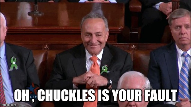 Chuck Schumer Creepy | OH , CHUCKLES IS YOUR FAULT | image tagged in chuck schumer creepy | made w/ Imgflip meme maker