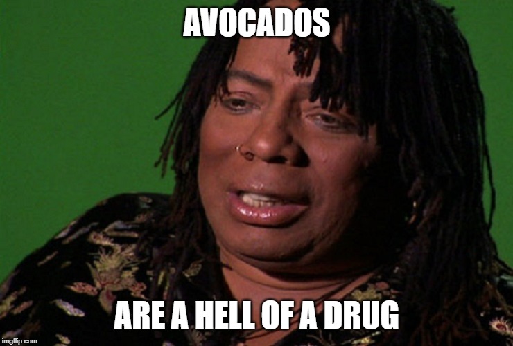 cocaine hell of a drug | AVOCADOS; ARE A HELL OF A DRUG | image tagged in cocaine hell of a drug | made w/ Imgflip meme maker