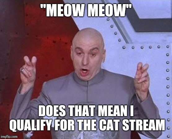 Dr Evil Laser Meme | "MEOW MEOW"; DOES THAT MEAN I QUALIFY FOR THE CAT STREAM | image tagged in memes,dr evil laser | made w/ Imgflip meme maker