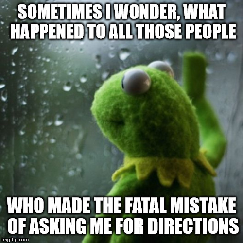 sometimes I wonder | SOMETIMES I WONDER, WHAT HAPPENED TO ALL THOSE PEOPLE; WHO MADE THE FATAL MISTAKE OF ASKING ME FOR DIRECTIONS | image tagged in sometimes i wonder,directions,memes,what happened,ive made a huge mistake,ask | made w/ Imgflip meme maker