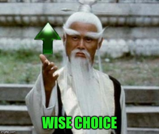 WISE CHOICE | made w/ Imgflip meme maker