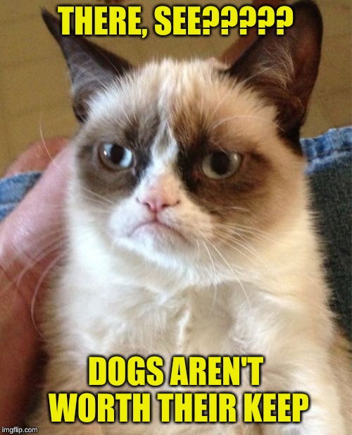 Grumpy Cat Meme | THERE, SEE????? DOGS AREN'T WORTH THEIR KEEP | image tagged in memes,grumpy cat | made w/ Imgflip meme maker