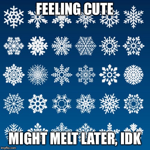 Snowflake | FEELING CUTE; MIGHT MELT LATER, IDK | image tagged in snowflakes | made w/ Imgflip meme maker