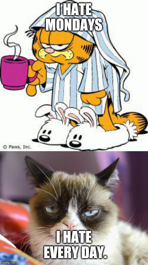 Grumpy cat is grumpier than Garfield | I HATE MONDAYS; I HATE EVERY DAY. | image tagged in grumpy cat,garfield | made w/ Imgflip meme maker