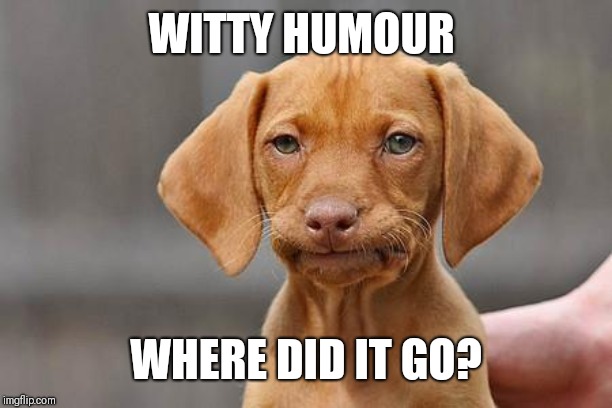 Dissapointed puppy | WITTY HUMOUR WHERE DID IT GO? | image tagged in dissapointed puppy | made w/ Imgflip meme maker